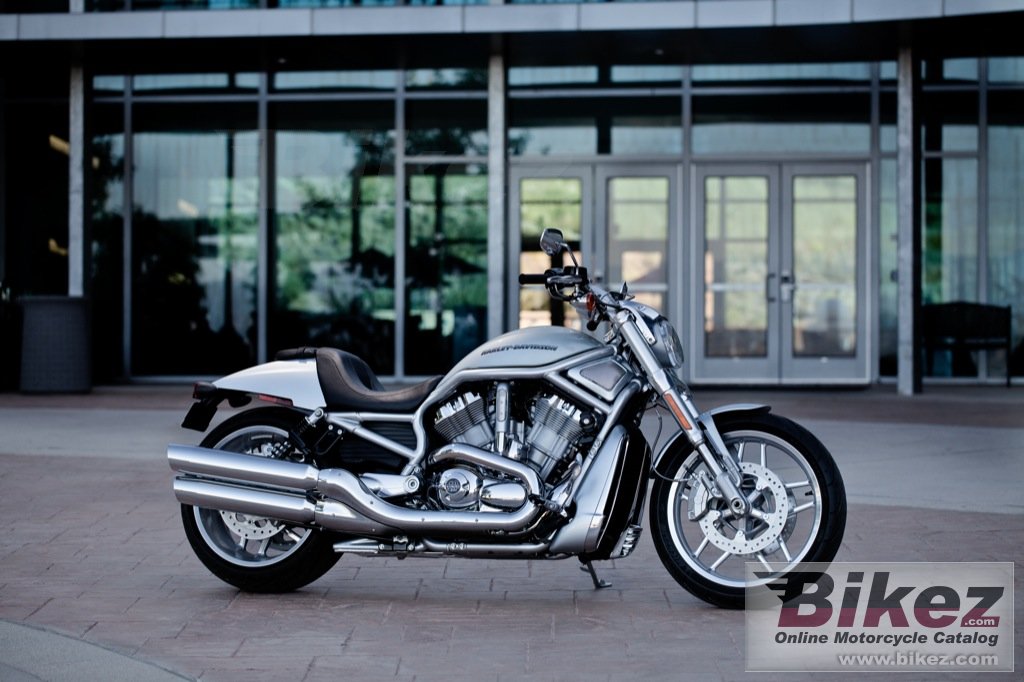 Big Harley-Davidson vrscdx v-rod 10th anniversary picture and wallpaper from Bikez.com